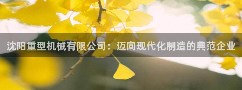 万事达娱乐何善良