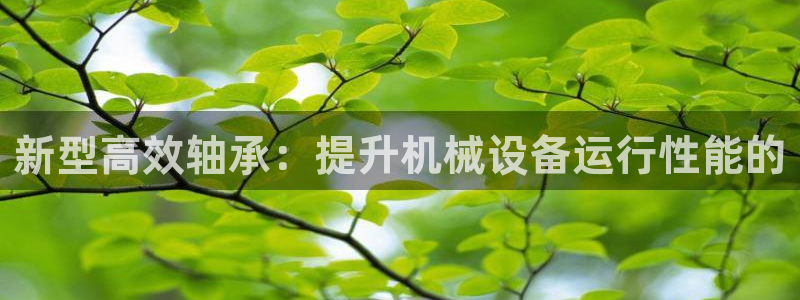 万事娱乐怎么分享会员