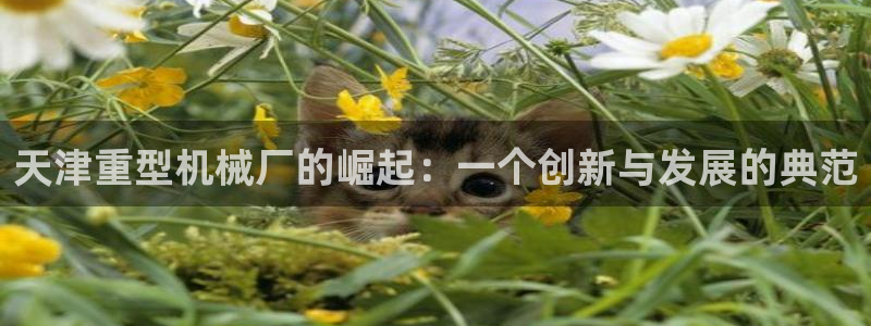 跟万事娱乐一样的平台