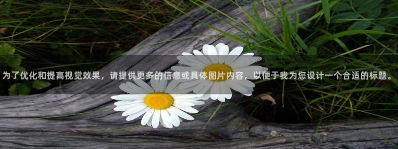 万事娱乐非同凡享
