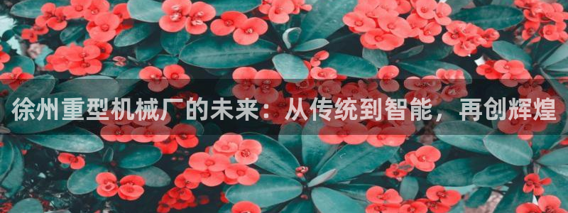万事达娱乐 股东