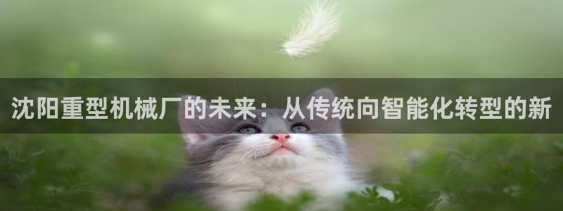万事娱乐他49403