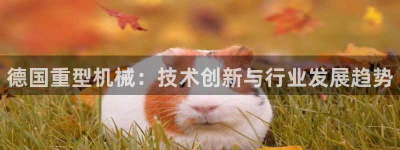 万事达娱乐 招商