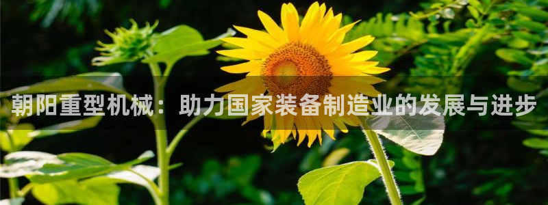 万事达娱乐平台