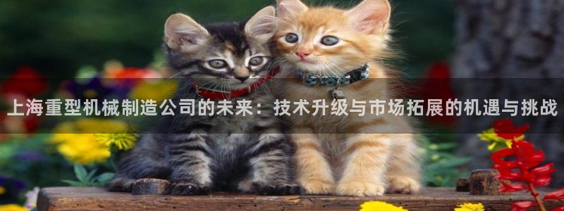 万事娱乐 找86555