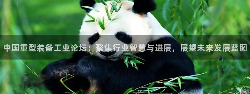 万事娱乐app