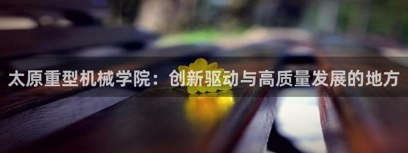娱乐节目万事屋