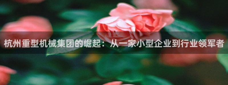 万事娱乐主管