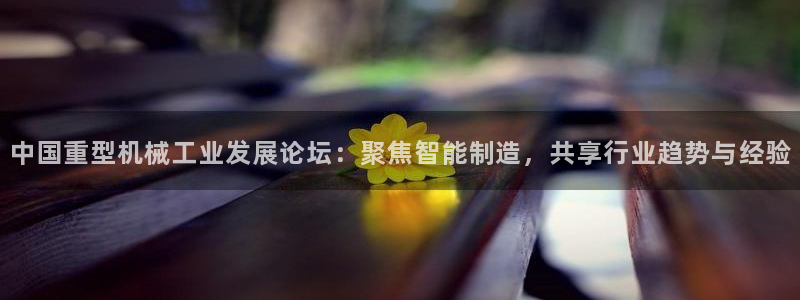 万事如意娱乐