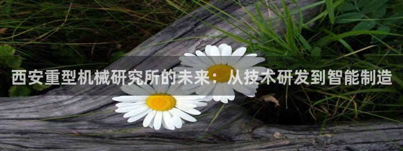 万事达娱乐 75505