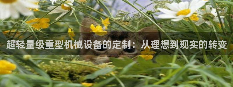万事达娱乐设施