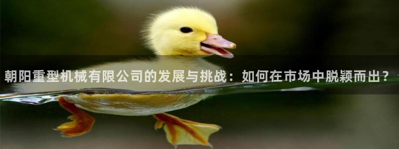 万事达娱乐95692