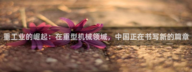 万事娱乐靠