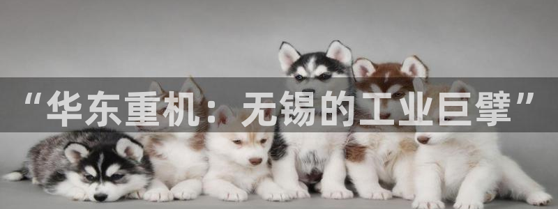 娱乐万事