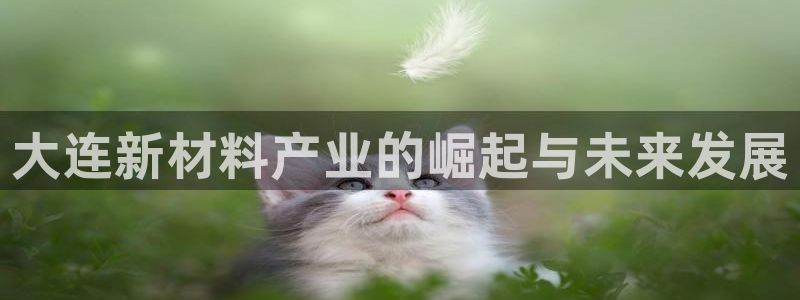 娱乐人万事屋