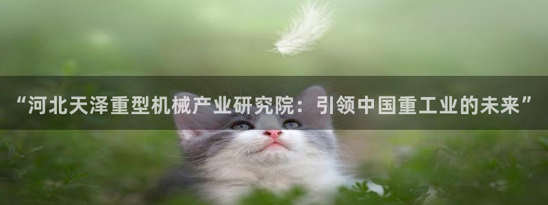 万事达娱乐唐善良