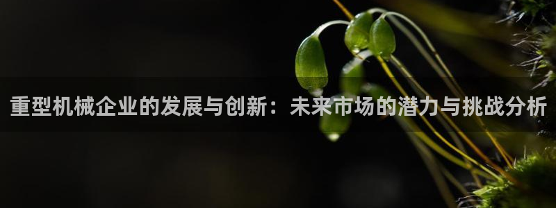 万事娱乐32二九01