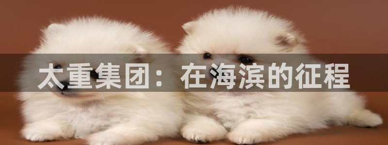 万事德娱乐