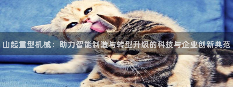 万事娱乐平台崩盘