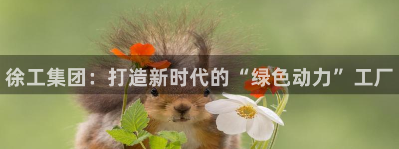 万事娱乐怎么样