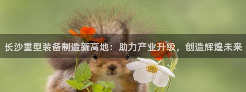 万事达娱乐球33300