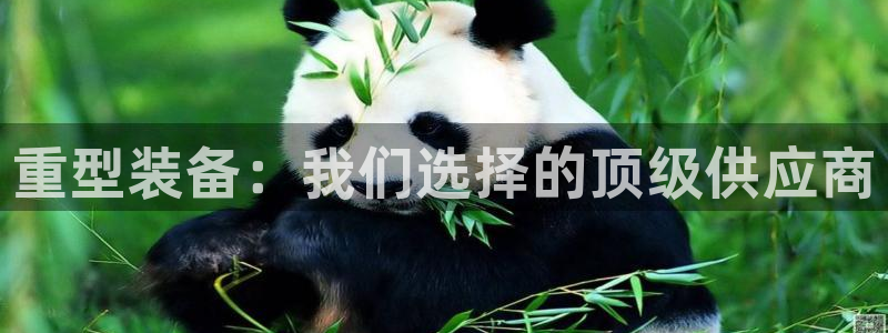 万事娱乐最高总代理