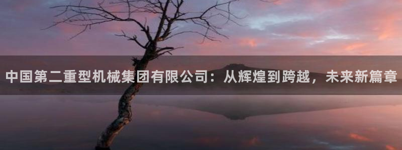 娱乐万事屋张宇