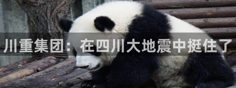 万事娱乐招商主管