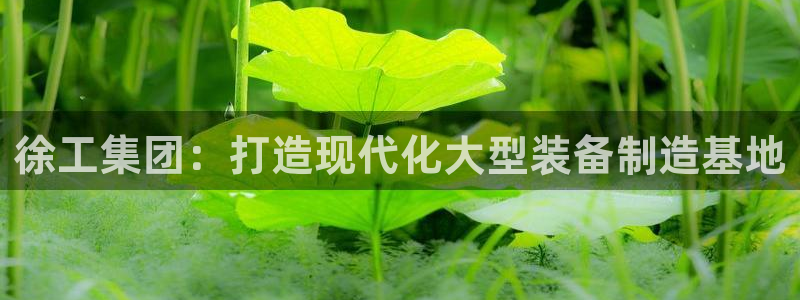 万事娱乐是什么