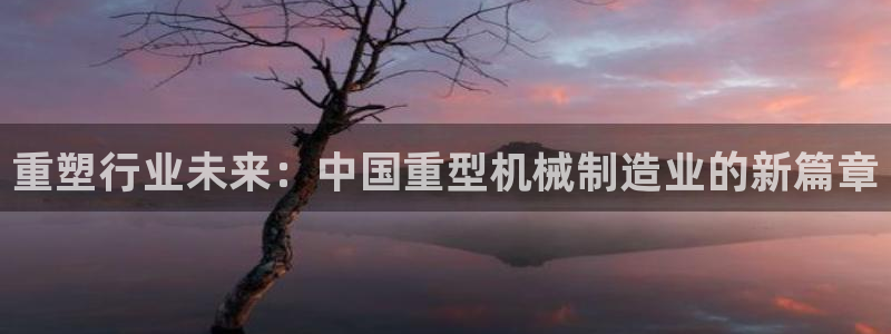 万事达娱乐 股东