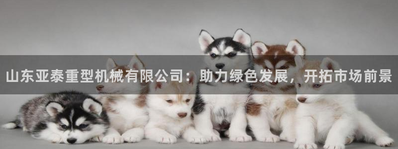 娱乐万事通现状