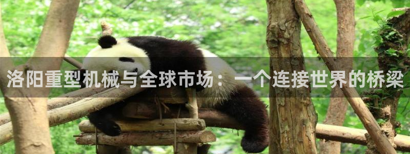 万事通娱乐棋牌