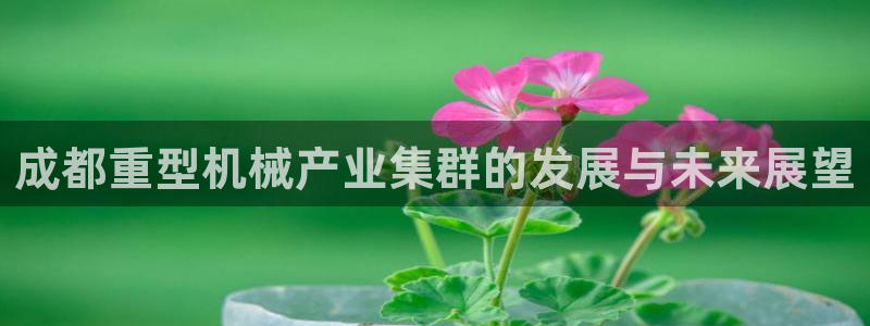 万事娱乐平台怎么样了啊