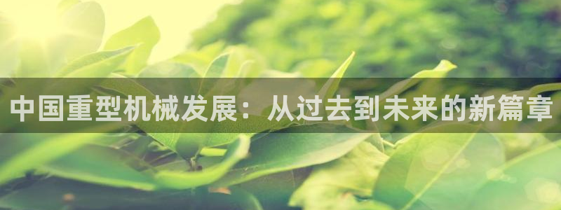 娱乐万事屋张宇