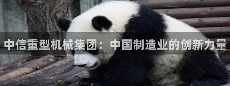 万事娱乐联37997