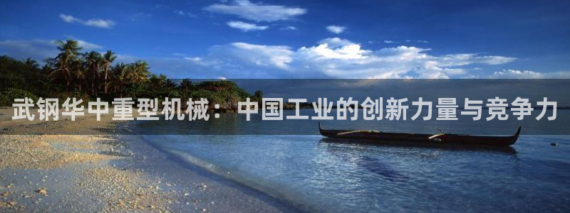 万事达娱乐 股东