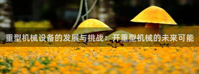 万事通娱乐官网